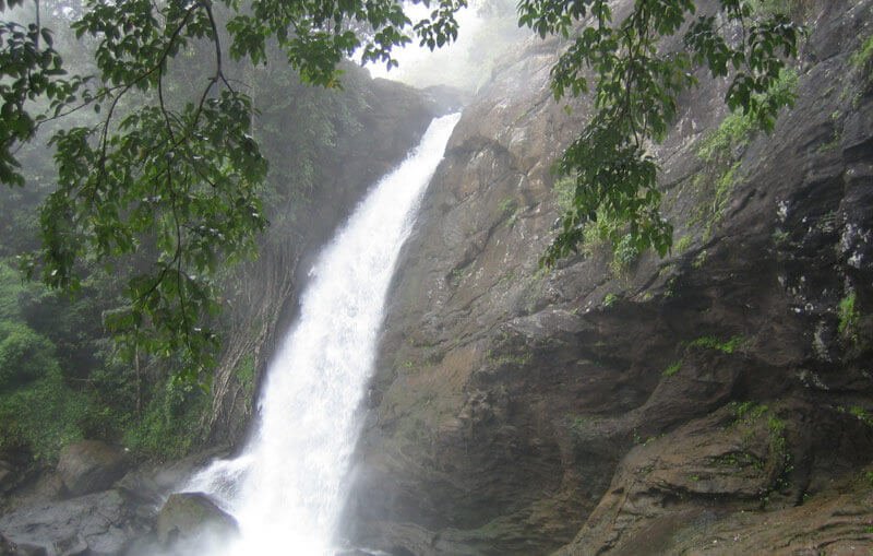 Soochipara waterfalls : 31 kms