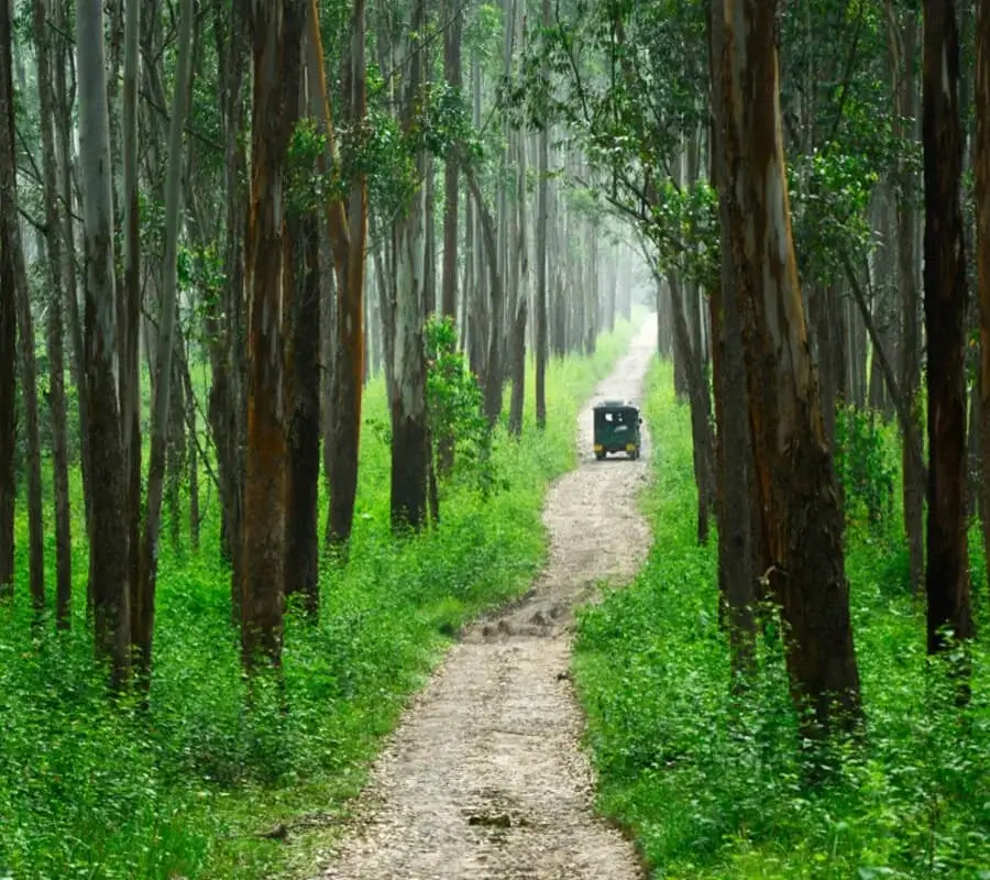 Muthanga
