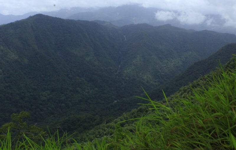 Lakkidi View point : 9.5 kms