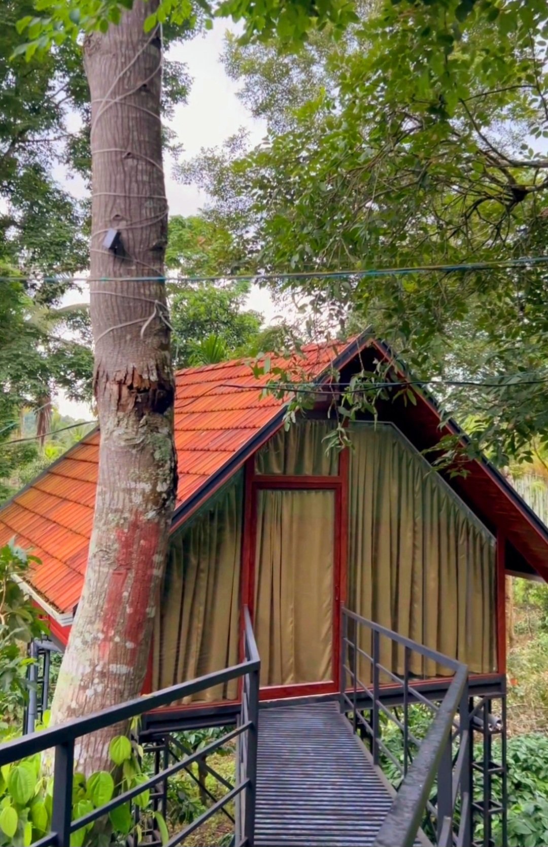 Wild A frame hut