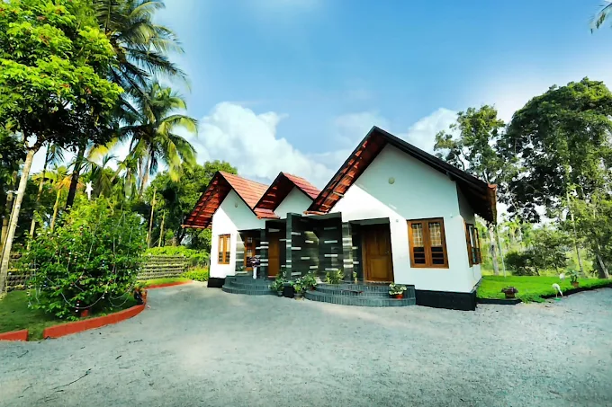 DJ River Meadows, Resort in Wayanad