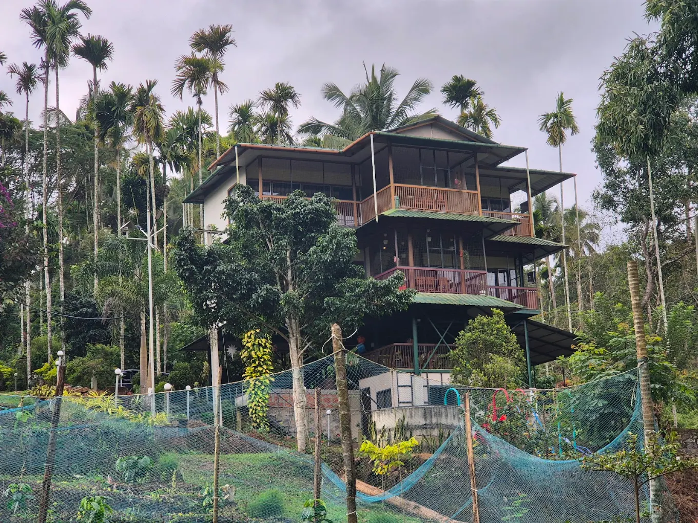 Greens Vista Homestay