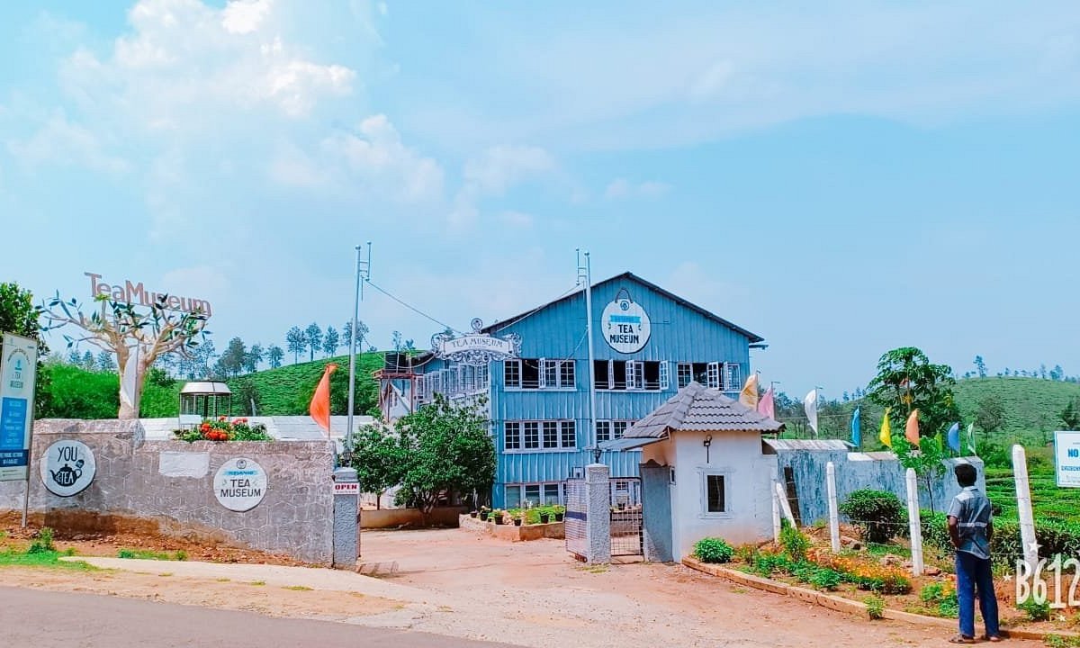 Wayanad Tea Museum