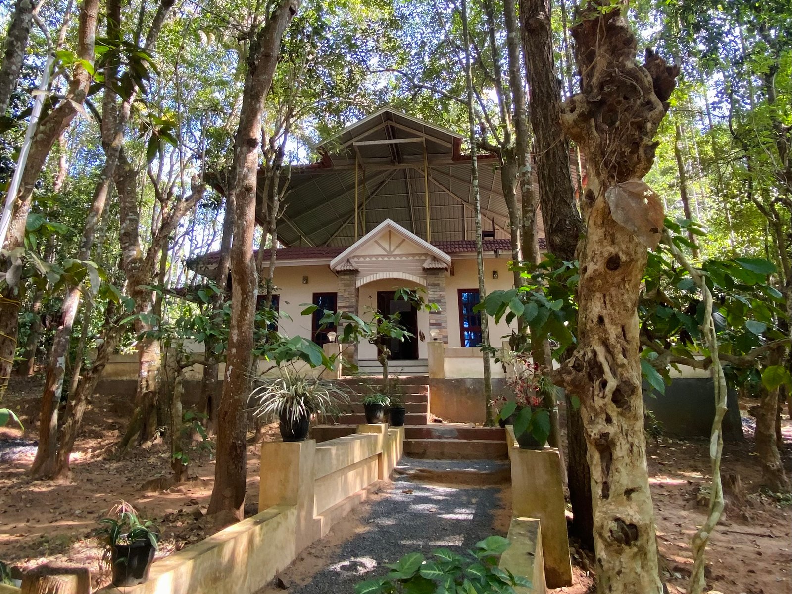 Coffee Mist Resort
