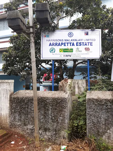 Arrapetta Tea Factory and Tea Sale Outlet. Harrisons Malayalam Limited