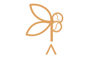 Pranavam Resort