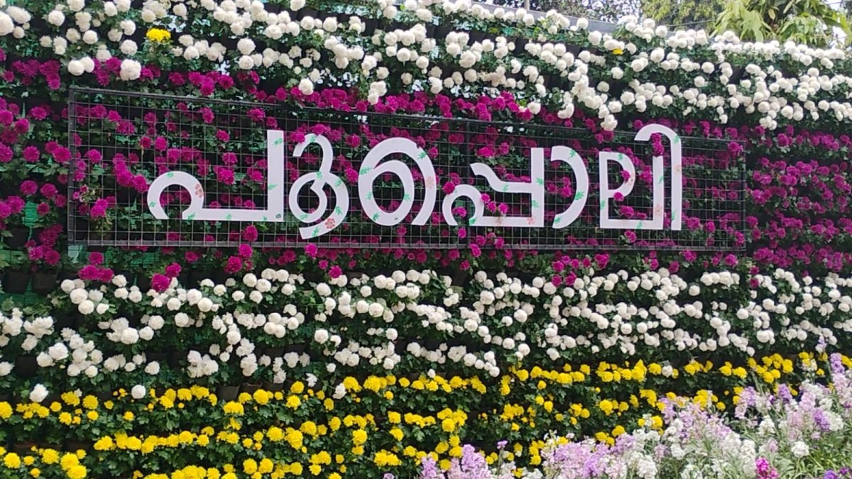 🌸🌺വയനാടിന്റെ പൂക്കാല വിസ്മയം — പൂപ്പൊലി🌸🌼